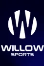 Willow Sports